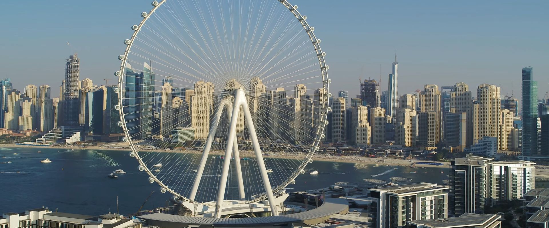 Build Your Independent Career in the UAE